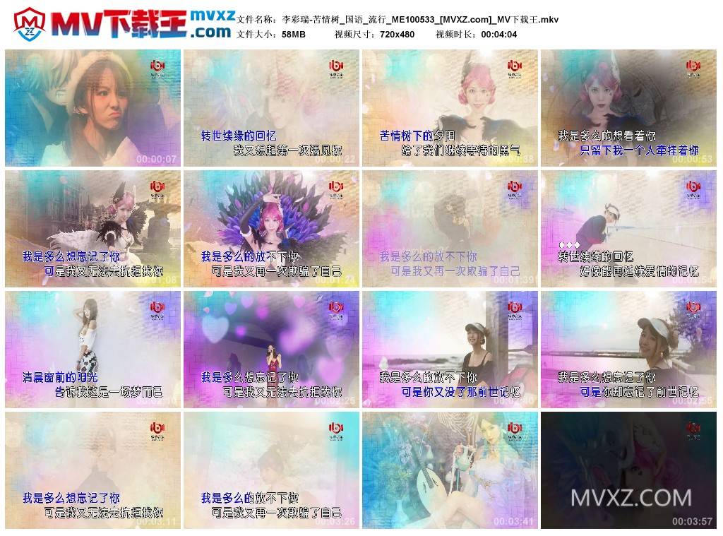 李彩瑞-苦情树_国语_流行_ME100533